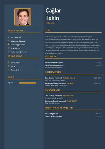 Psikolog CV Örnekleri cv indir